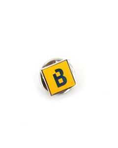 Pin
